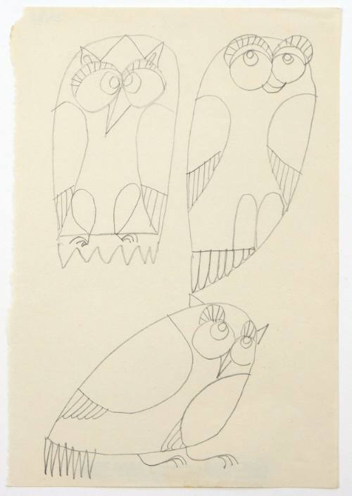 Κουκουβάγιες