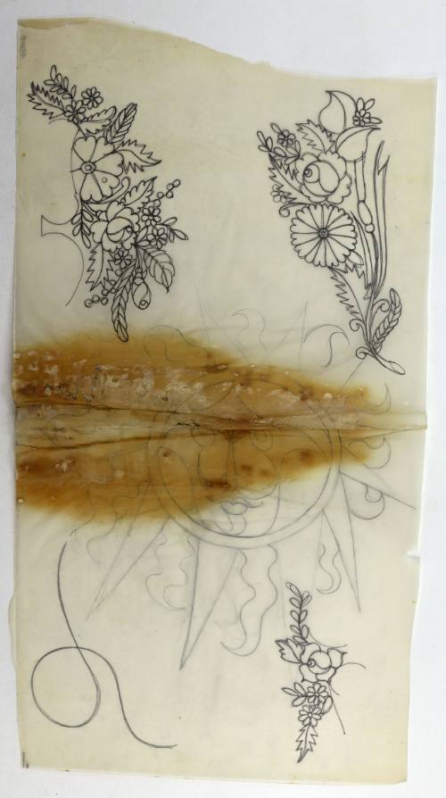 Ήλιος και λουλούδια