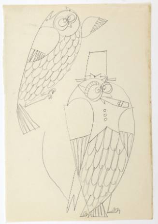 Κουκουβάγιες