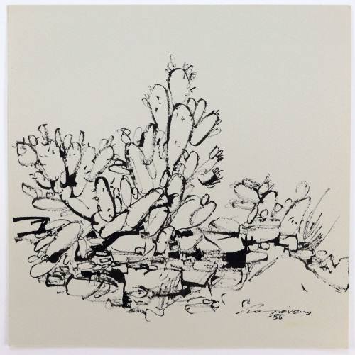 Φραγκοσυκιά