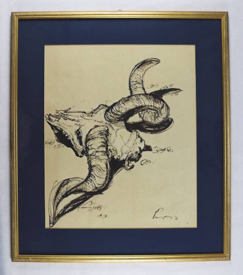 Κρανίο κριού