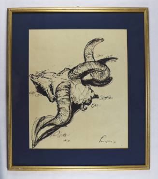 Κρανίο κριού