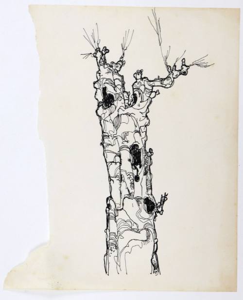 Κορμός δέντρου