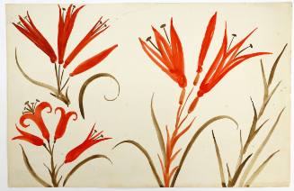 Αρχαϊκά κρίνα Κνωσσού