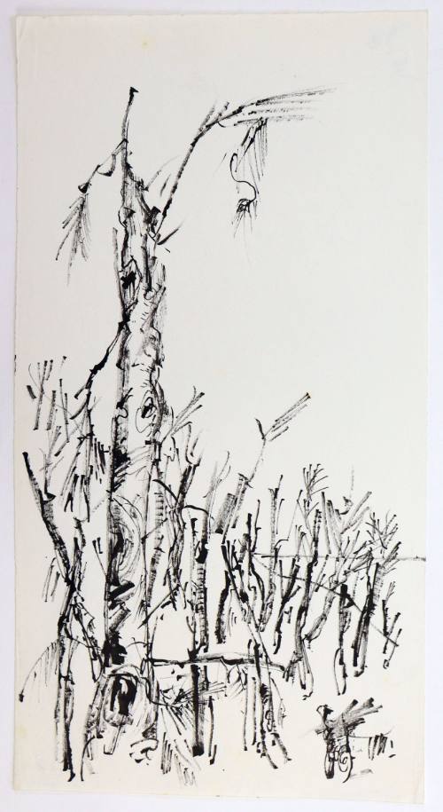 Κορμοί δέντρων