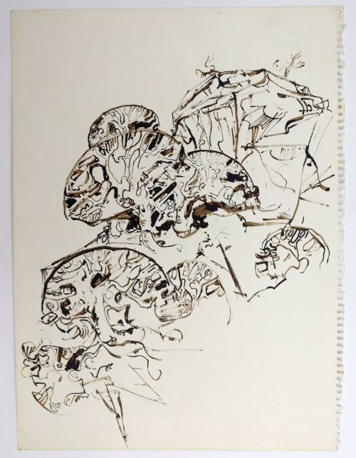 Σχινάρια στα βράχια