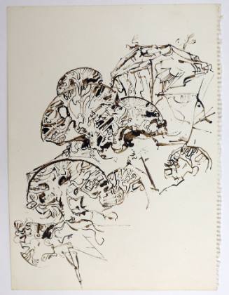 Σχινάρια στα βράχια