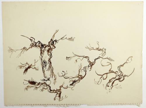 Κλαδιά Δέντρων