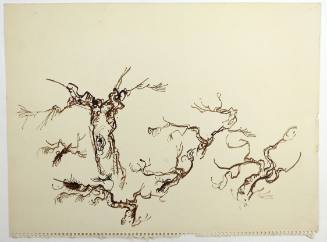 Κλαδιά Δέντρων