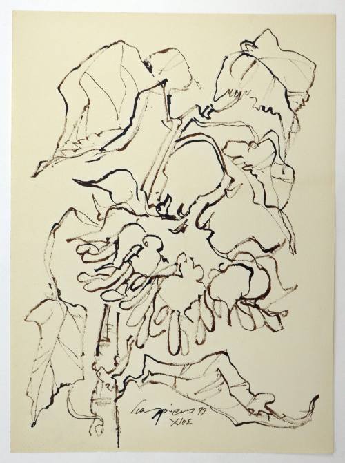 Ηλιοτρόπια