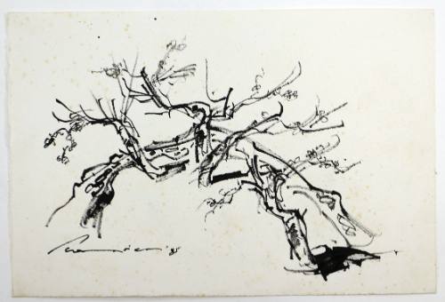 Φράχτης και Δέντρα