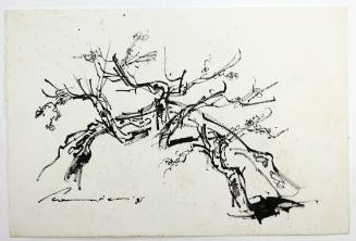 Φράχτης και Δέντρα