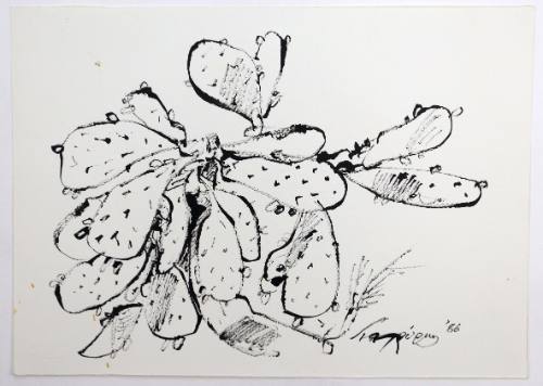 Φραγκοσυκιά