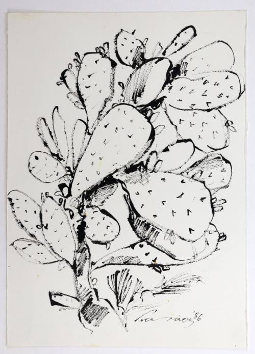 Φραγκοσυκιά