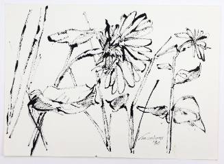 Ηλιοτρόπια