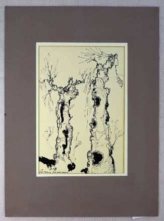 Μουριές - Πόρτο Καρράς