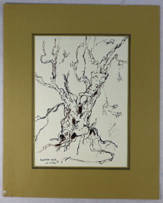 Εμπορειό-Χίος, Αρχαία Ελιά