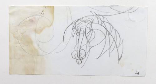 Κεφαλή Αλόγου