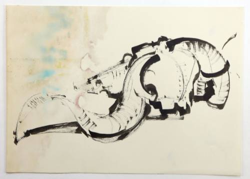 Κρανίο Κριαριού