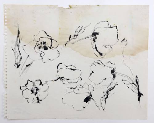 Παπαρούνες