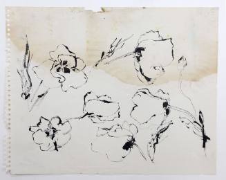 Παπαρούνες