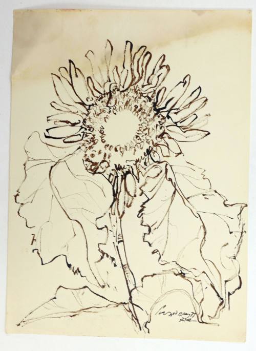 Ηλιοτρόπια