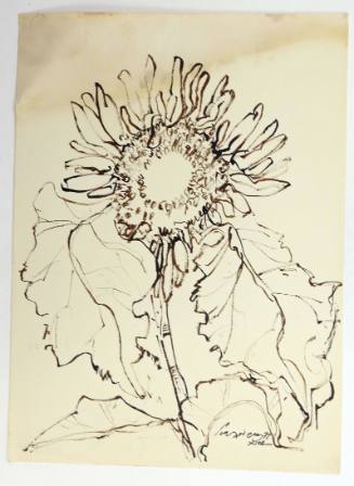 Ηλιοτρόπια