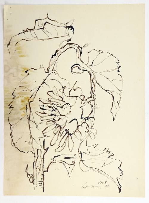 Ηλιοτρόπια