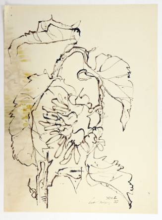 Ηλιοτρόπια