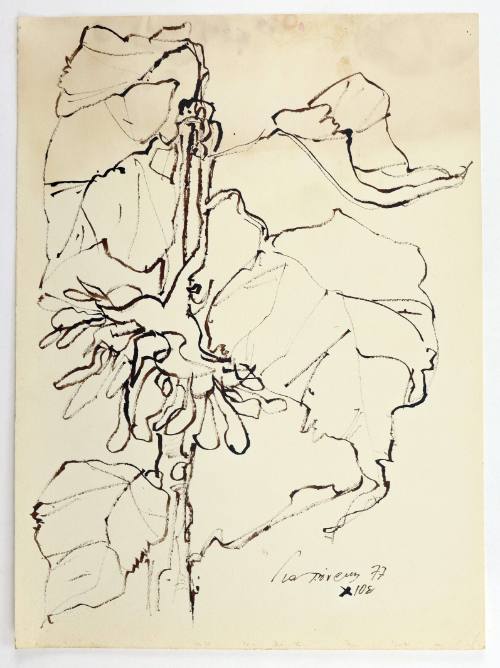 Ηλιοτρόπια