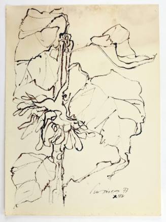 Ηλιοτρόπια