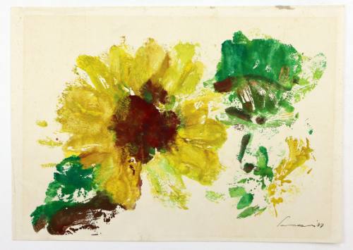 Ηλιοτρόπιο