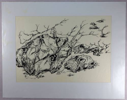 Βράχια με κλαδιά