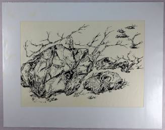 Βράχια με κλαδιά