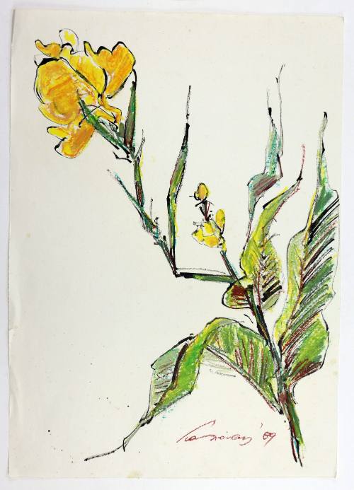 Κίτρινα Λουλούδια